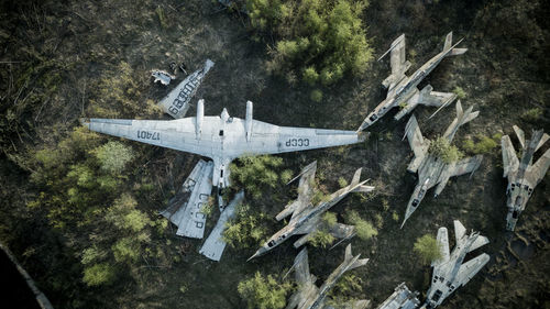 Airplane flying over trees