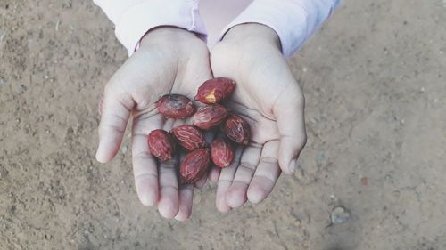 Cropped hands holding fruits outdoors