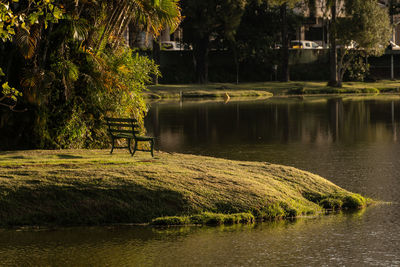 Scenic view of lake in park