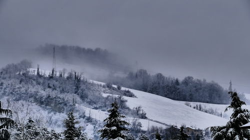 Low angle view of trees against sky during winter