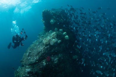 Woman scuba diving in sea