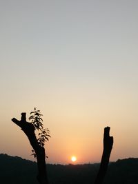 Silhouette person hand against sky during sunset