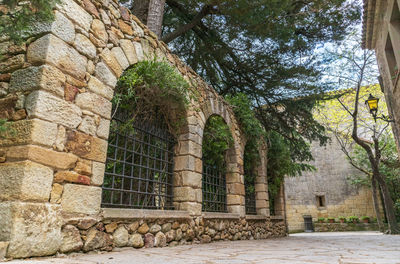 Stone wall by trees in park