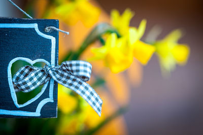 Close up of blue umbrella