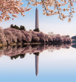 Reflection of trees in lake