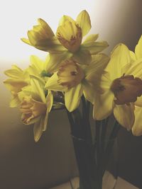 Close-up of flowers in vase