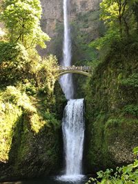 Scenic view of waterfall in forest