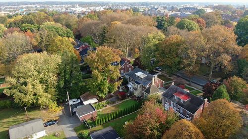 High angle view of trees and buildings in city