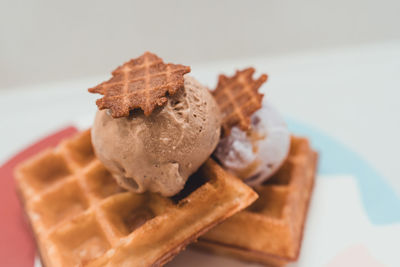 Close-up of dessert in plate