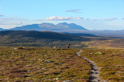 Scenic view of landscape against sky