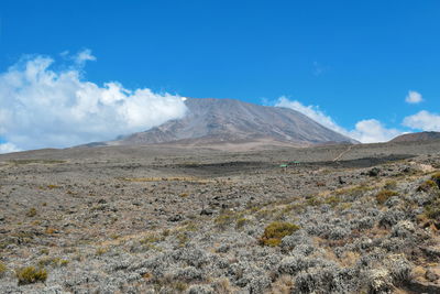 Mount kilimanjaro against a blue sky, mount kilimanjaro national park, tanzania