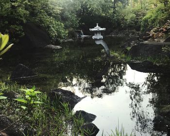 Reflection of trees in lake