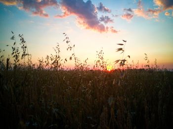 Scenic view of field against sky at sunset