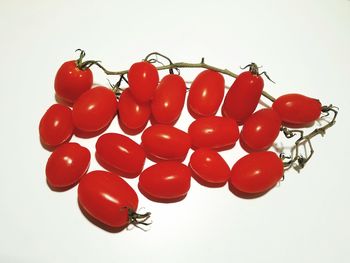 High angle view of tomatoes against white background