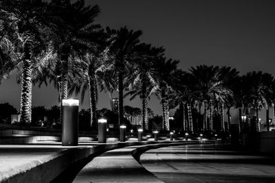 Street amidst trees against sky at night