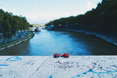 View of boats in water