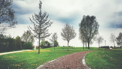 Scenic view of grassy field against cloudy sky