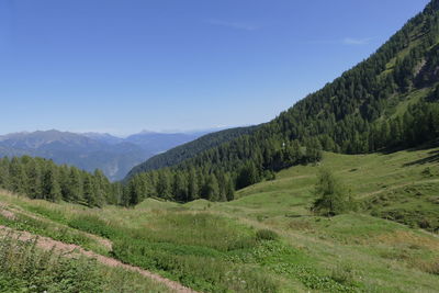 Scenic view of landscape against clear sky