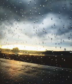 Close-up of water drops on leaf