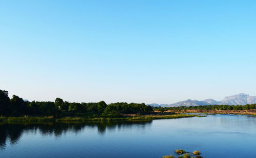 Scenic view of lake against clear blue sky