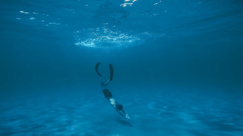 Diving underwater the sea with long fins