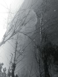 Low angle view of bare tree against sky