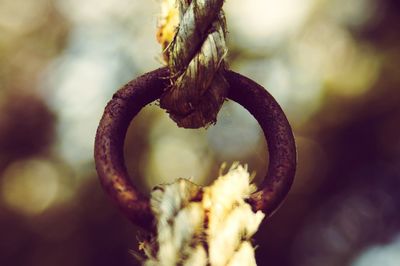 Close-up of rusty metal hanging on rope