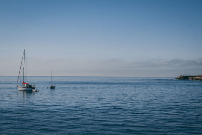 Sailboat sailing on sea against sky