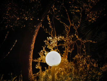 Close-up of light painting against black background