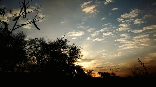 Silhouette of trees against cloudy sky