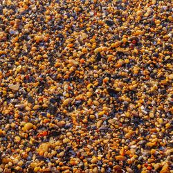 Full frame shot of pebbles on beach