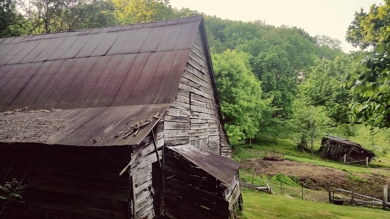 tree, building exterior, built structure, architecture, abandoned, house, wood - material, damaged, sky, grass, old, obsolete, day, growth, outdoors, green color, no people, low angle view, field, run-down