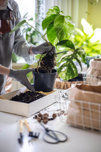 Midsection of woman with potted plant on table