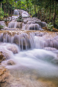 Scenic view of waterfall in forest