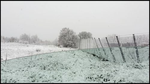 Snow covered trees against clear sky