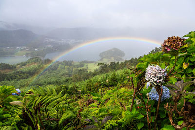 Scenic view of rainbow over land and trees against sky