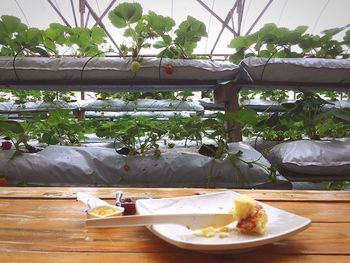 Close-up of food on table