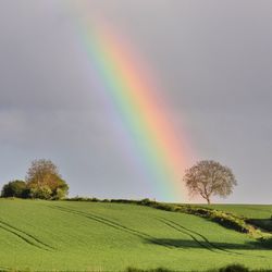 Scenic view of field against cloudy sky