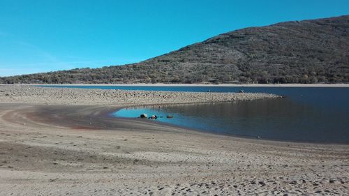 Scenic view of beach against blue sky