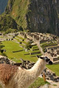 View of the city of machu picchu