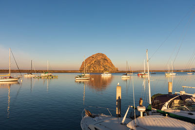 Sailboats moored in sea against clear sky