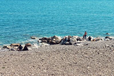 Group of people on rocks at beach