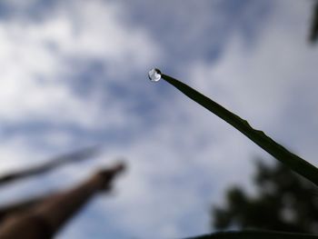 Low angle view of water against sky