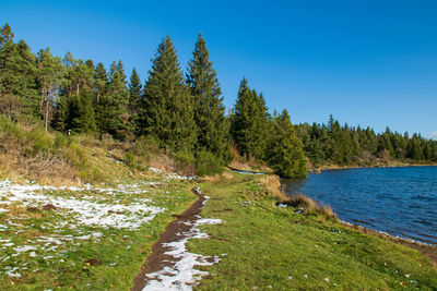 Scenic view of waterfall in forest against clear blue sky