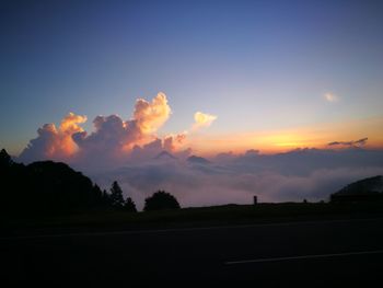 Silhouette trees against sky during sunset