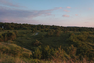 Scenic view of field against sky