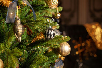 Close-up of christmas tree