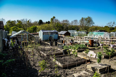 Plants and abandoned house in village against sky