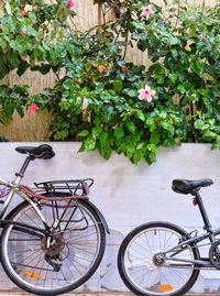 Bicycle on plants