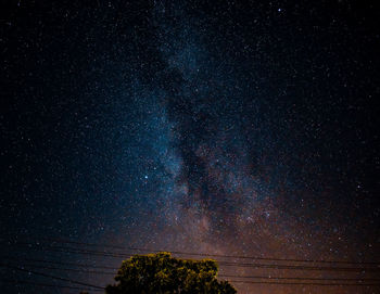 Photo of a milkyway just above a tree.